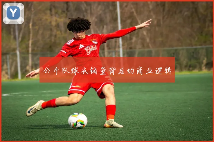 公牛队球衣销量背后的商业逻辑