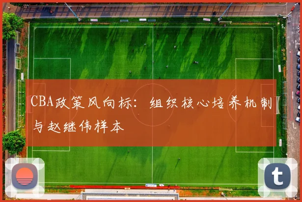 CBA政策风向标：组织核心培养机制与赵继伟样本