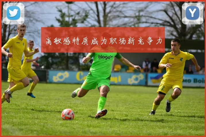 高敏感特质成为职场新竞争力