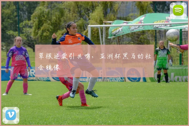 草根逆袭引共鸣，亚洲杯黑马的社会镜像